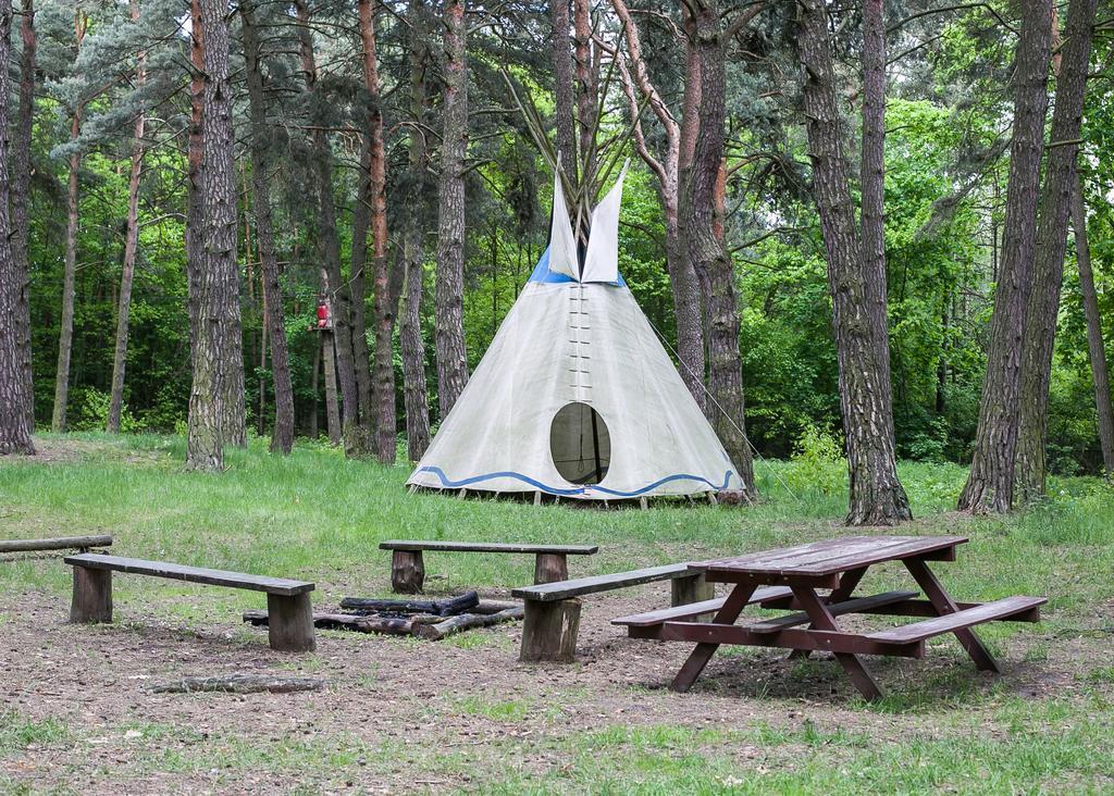 Lesna Ryba Hotel Jedlanka Stara Buitenkant foto